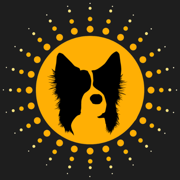 Sun Dog Recording Studio